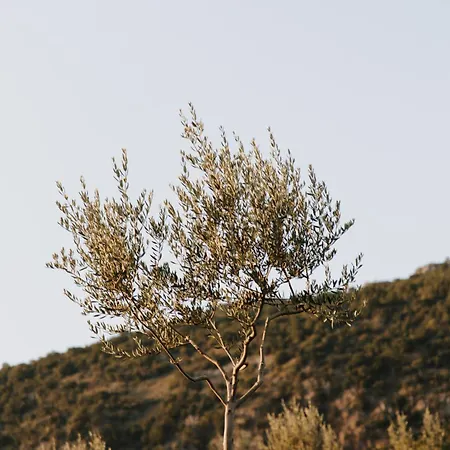 Séjour à la campagne Bijeli Brijeg Podgorica